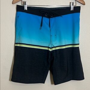 Burnside Blue Black Swim Board Shorts
